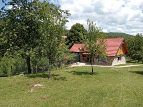 Kuća za odmor Dangubica